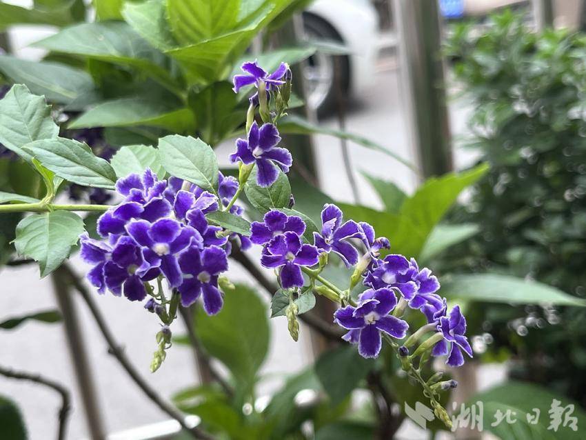 九州 最新发布页